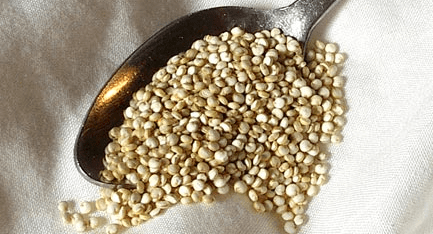 ricette quinoa ricette con quinoa polpette con quinoa